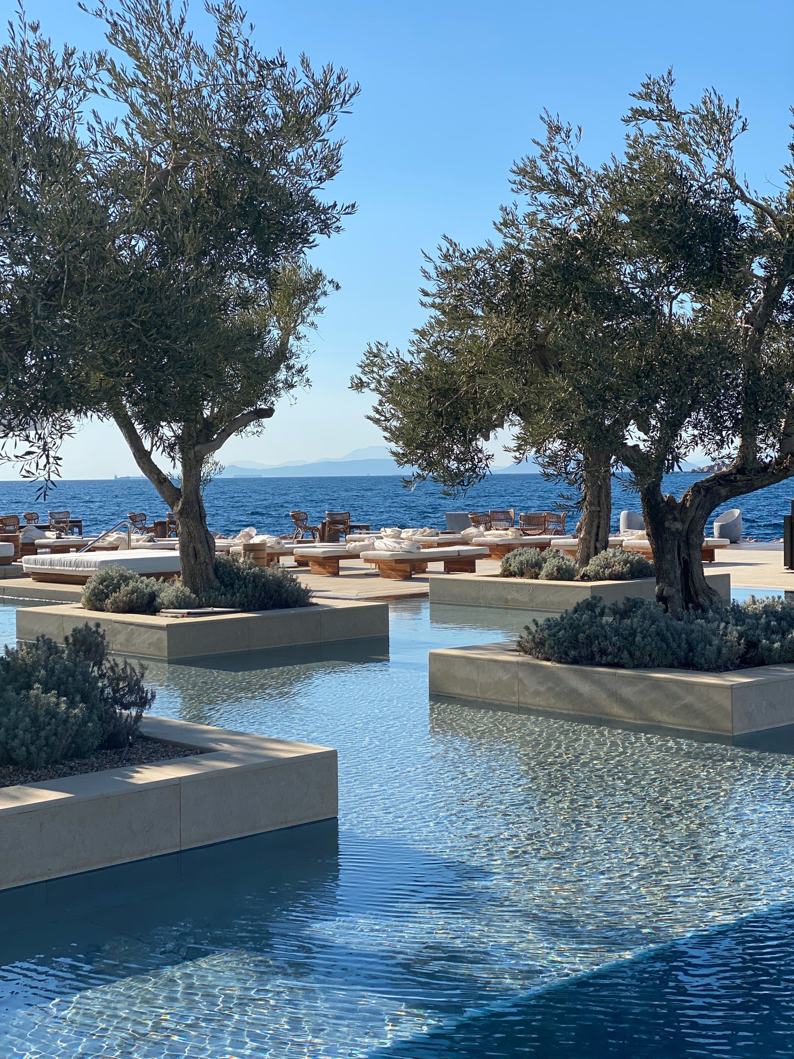 Poolside at a luxury resort
